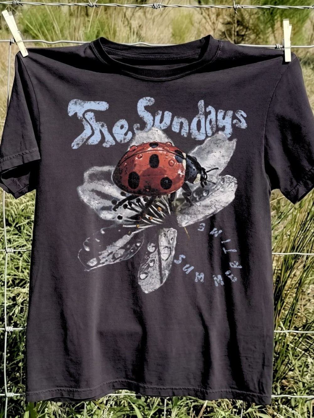 Black Graphic Tee with Red Ladybug Design